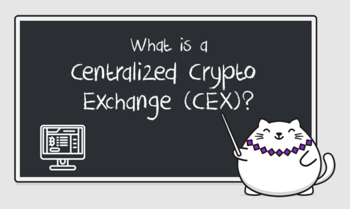 What is Centralized Crypto Exchange (CEX) in crypto?